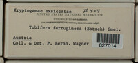 Image Associated With the Occurence